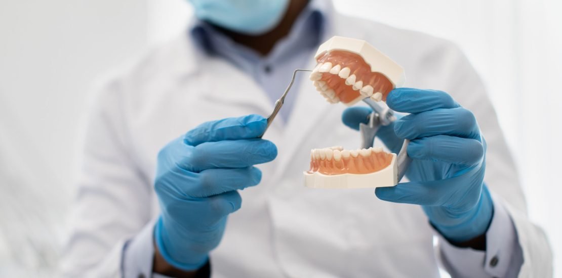 Unrecognizable Dentist Doctor Holding Artificial Jaw And Dental Tool In Hands, Professional Stomatologist Wearing Blue Medical Gloves Explaining Features Of Teeth, Cropped Image, Closeup Shot
